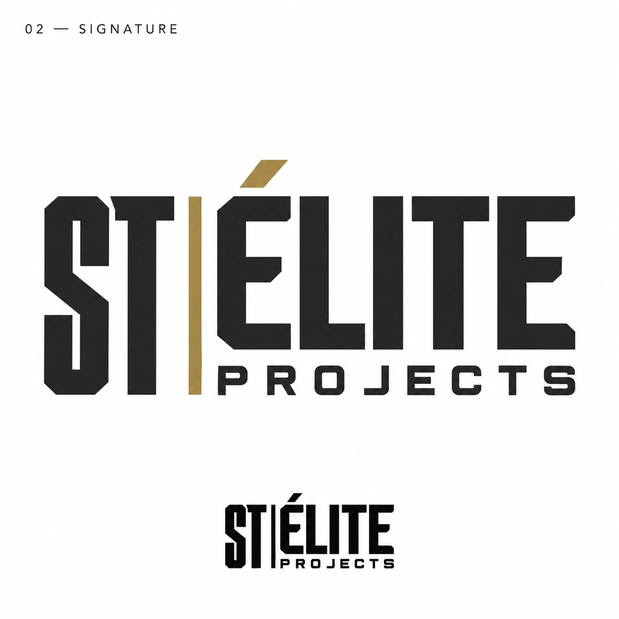 ST ÉLITE PROJECTS